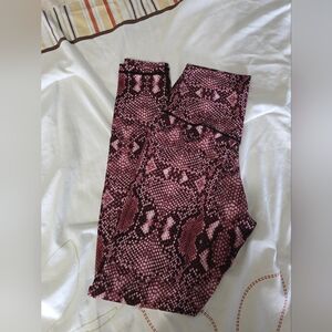 Colorful Koala Snake leggings